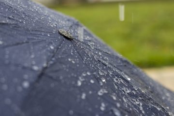 Regen prasselt auf einen schwarzen Schirm